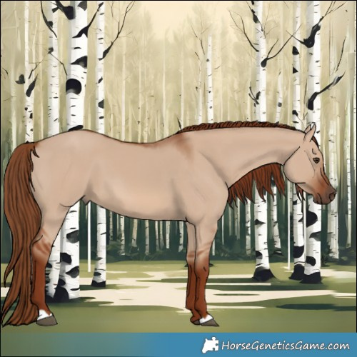 Horse Color:Red Dun 