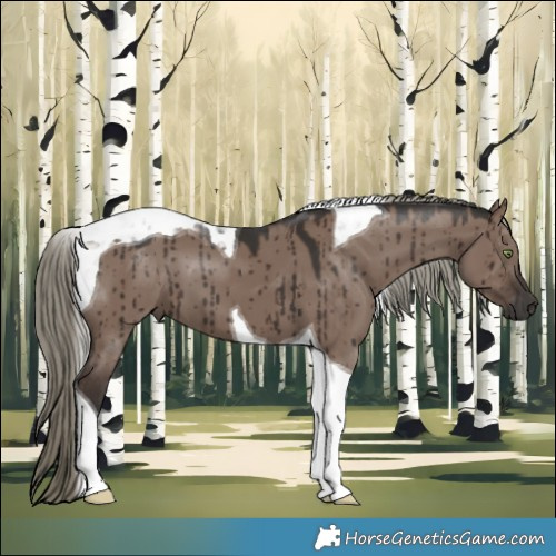 Horse Color:Liver Red Dun Mushroom Tobiano Brindle 