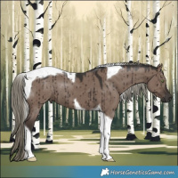 Horse Color:Liver Red Dun Mushroom Tobiano Brindle 