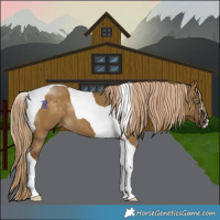 Horse Color:Pseudo Chocolate Palomino Dun Tobiano 