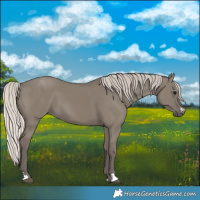 Horse Color:Silver Grullo