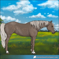 Horse Color:Silver Black