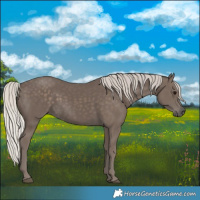 Horse Color:Silver Black 