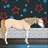 Horse Color:Gold Champagne Dun Splash