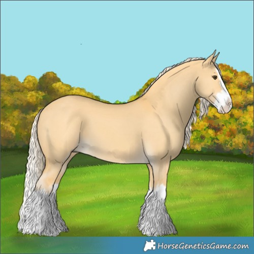 Horse Color:Palomino Dun Splash 