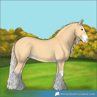 Horse Color:Palomino Dun Splash