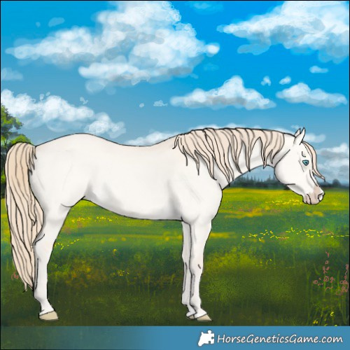 Horse Color:Perlino Dun Splash