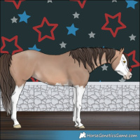 Horse Color:Amber Champagne Splash 