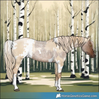 Horse Color:Liver Red Dun Roan Tobiano Rabicano  and White Spotted Liver Red Dun Snowdrop Pearl Rabicano 