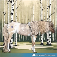 Horse Color:Liver Red Dun Roan Tobiano Rabicano and White Spotted Liver Red Dun Snowdrop Pearl Rabicano