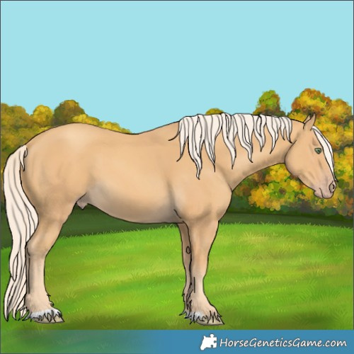 Horse Color:Gold Cream Champagne 