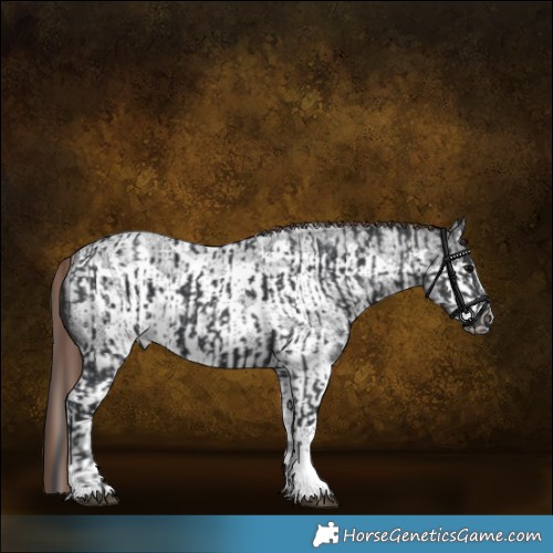 Horse Color:Black Splash Tobiano Rabicano and Liver Red Roan Sabino Splash Frame Rabicano