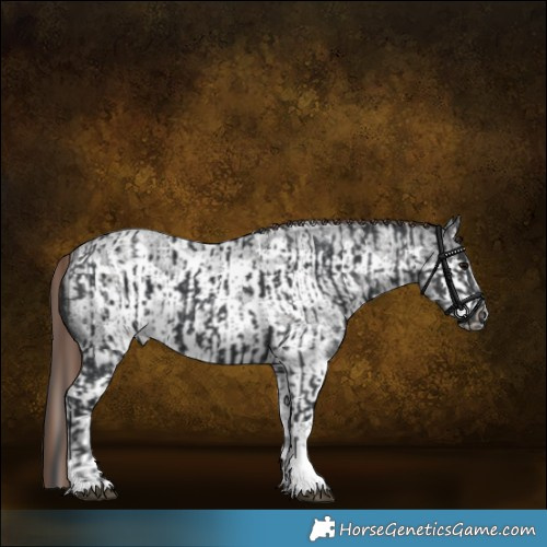 Horse Color:Black Splash Tobiano Rabicano and Liver Red Roan Sabino Splash Frame Rabicano