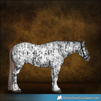 Horse Color:Black Splash Tobiano Rabicano and Liver Red Roan Sabino Splash Frame Rabicano