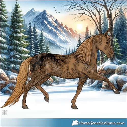 Horse Color:Chestnut Ice Rabicano