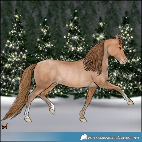 Horse Color:Bay Pearl Rabicano 