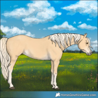Horse Color:Palomino 