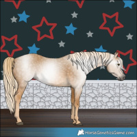 Horse Color:Gray Palomino 