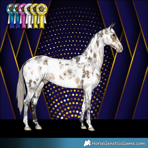 Horse Color:White Spotted Silver Smoky Grullo Ice Near Leopard 