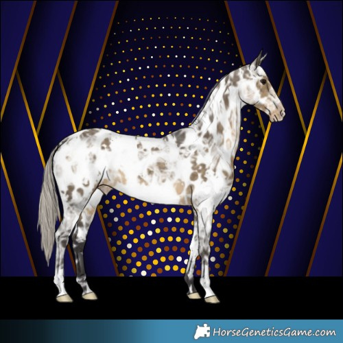 Horse Color:White Spotted Silver Smoky Grullo Ice Appaloosa 