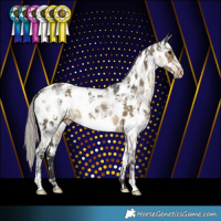 Horse Color:White Spotted Silver Smoky Grullo Ice Near Leopard 