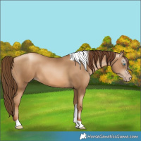 Horse Color:Gray Amber Champagne Snowdrop Pearl Tobiano