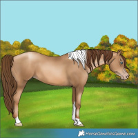 Horse Color:Gray Amber Champagne Snowdrop Pearl Tobiano 