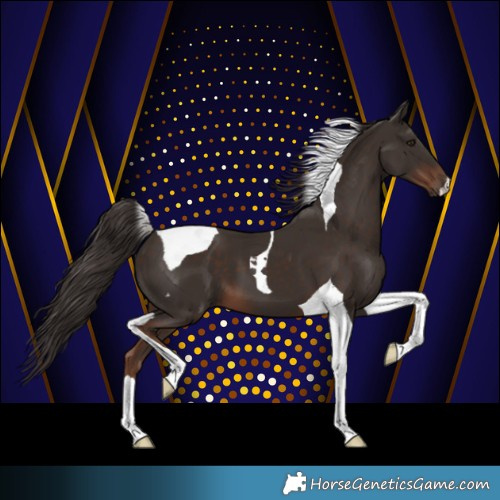 Horse Color:Liver Chestnut Tobiano 