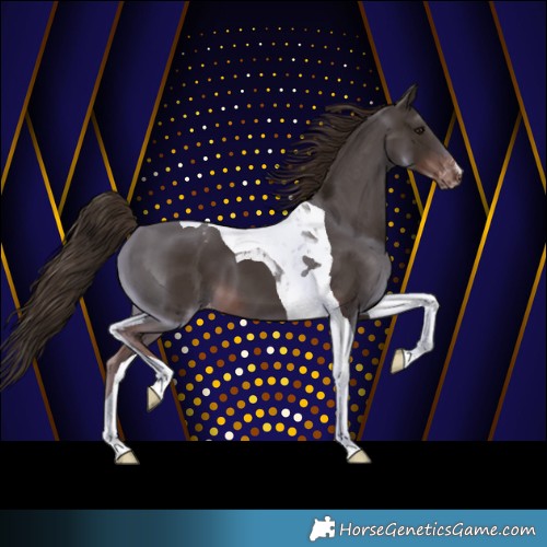 Horse Color:Liver Chestnut Tobiano Appaloosa 