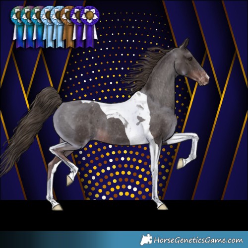 Horse Color:Liver Chestnut Tobiano Varnish 