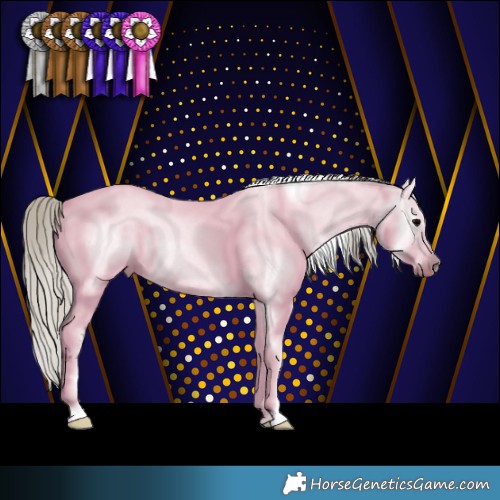 Horse Color:Gray Silver Blue Roan Near Fewspot 