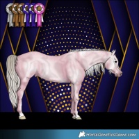 Horse Color:Gray Silver Blue Roan Near Fewspot 