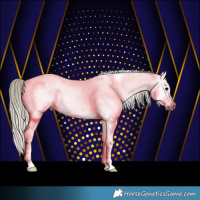 Horse Color:Gray Silver Blue Roan Near Fewspot 