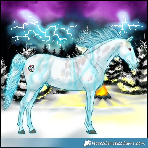 Horse Color:Thunderstruck Silver Black Ice Snowdrop Splash Tobiano Appaloosa 