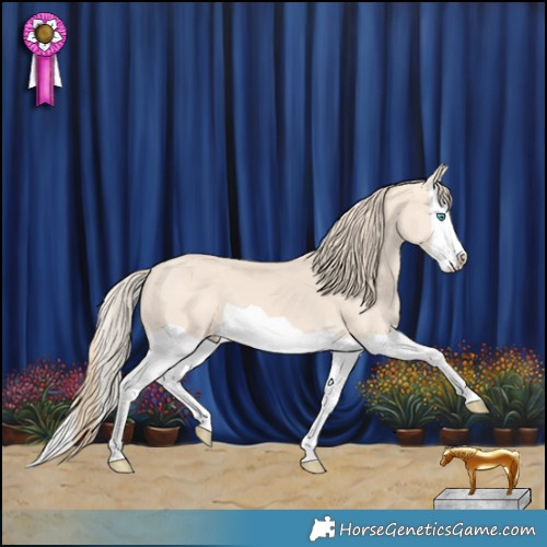 Horse Color:Perlino Splash 