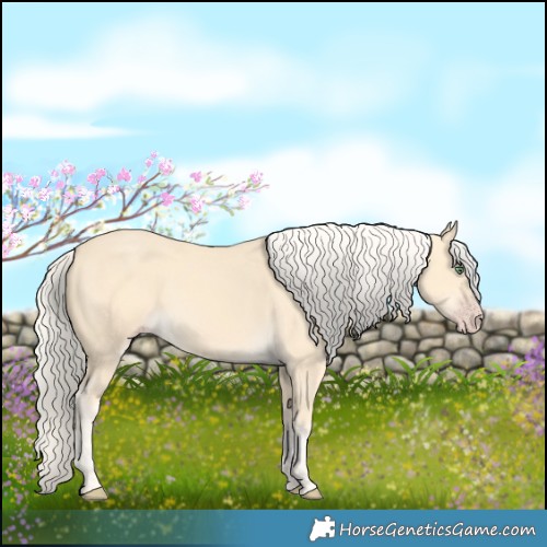 Horse Color:Gold Cream Champagne