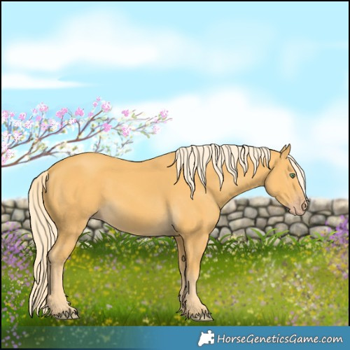 Horse Color:Gold Cream Champagne