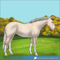 Horse Color:Silver Classic Champagne Dun Splash Frame 