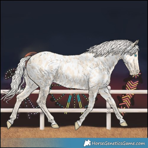 Horse Color:Cremello Near Leopard 