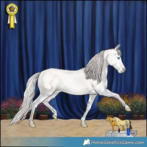 Horse Color:Perlino Splash 