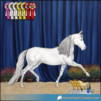 Horse Color:Perlino Splash 