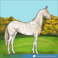 Horse Color:Chocolate Palomino Pearl Tobiano Frame  and Buckskin Pearl Tobiano Frame 