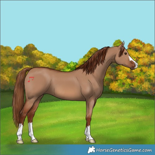 Horse Color:Red Dun 
