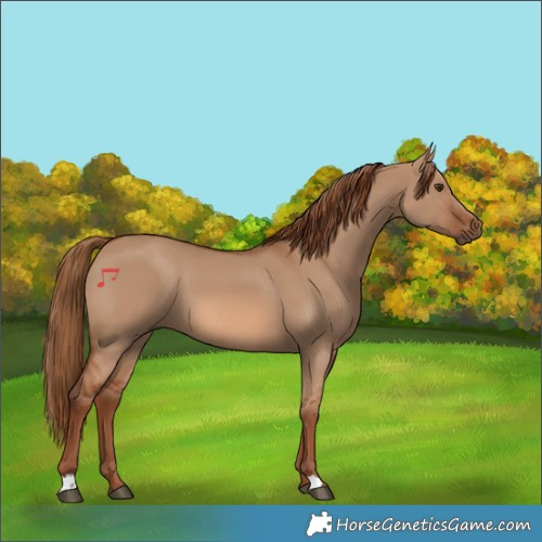 Horse Color:Red Dun
