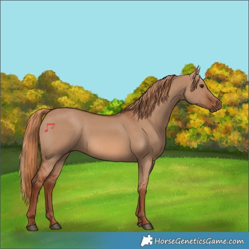 Horse Color:Red Dun 