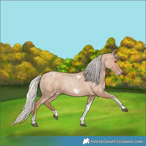 Horse Color:Silver Blue Roan Pearl Tobiano Frame 