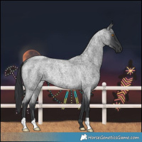 Horse Color:Blue Roan Rabicano 