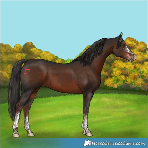 Horse Color:White Spotted Liver Chestnut Tobiano 