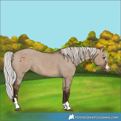 Horse Color:Silver Bay Dun Varnish 
