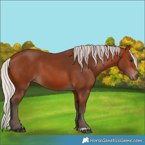 Horse Color:Silver Brown 